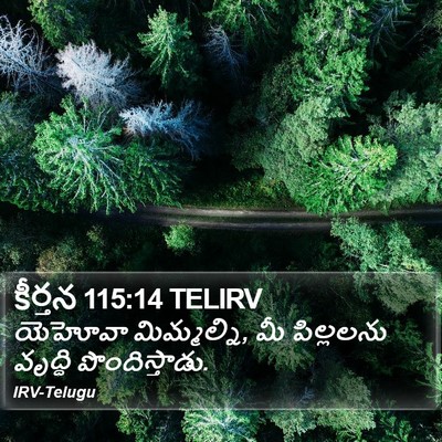 కీర్తన 115:14 TELIRV Bible Verse Image