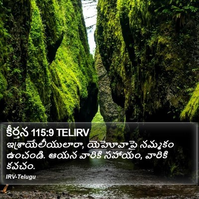 కీర్తన 115:9 TELIRV Bible Verse Image