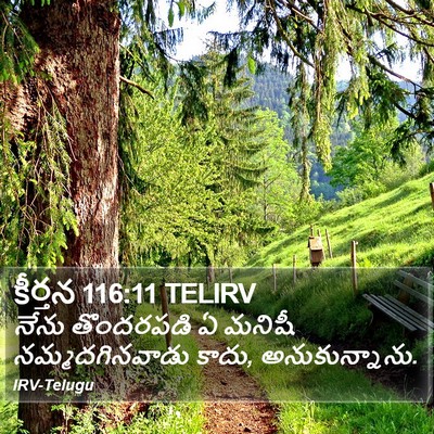 కీర్తన 116:11 TELIRV Bible Verse Image