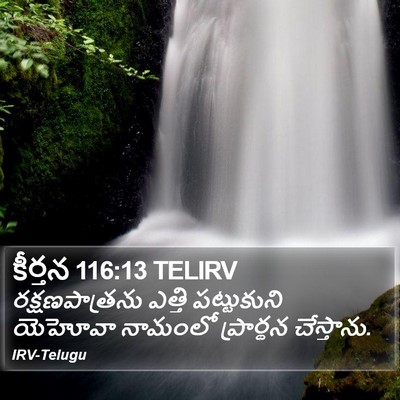 కీర్తన 116:13 TELIRV Bible Verse Image