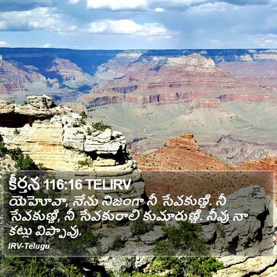 కీర్తన 116:16 TELIRV Bible Verse Image