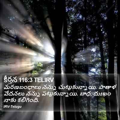 కీర్తన 116:3 TELIRV Bible Verse Image