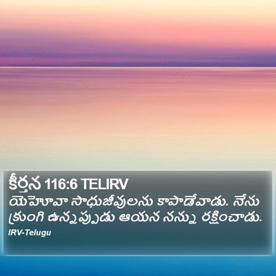 కీర్తన 116:6 TELIRV Bible Verse Image