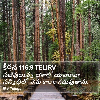 కీర్తన 116:9 TELIRV Bible Verse Image