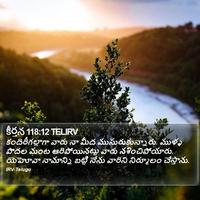 కీర్తన 118:12 TELIRV Bible Verse Image