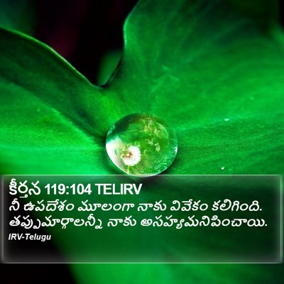 కీర్తన 119:104 TELIRV Bible Verse Image