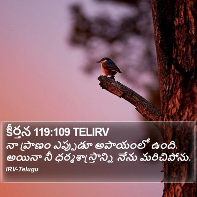 కీర్తన 119:109 TELIRV Bible Verse Image