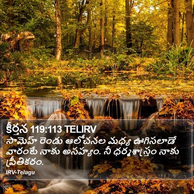 కీర్తన 119:113 TELIRV Bible Verse Image