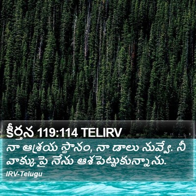 కీర్తన 119:114 TELIRV Bible Verse Image