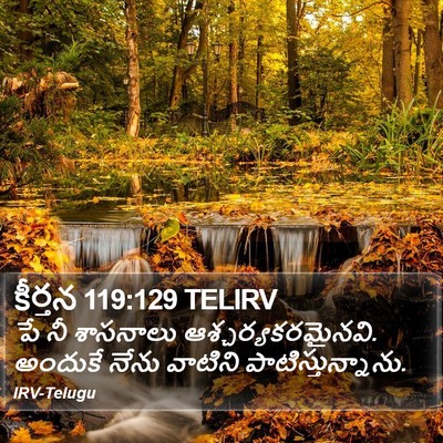 కీర్తన 119:129 TELIRV Bible Verse Image