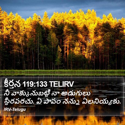 కీర్తన 119:133 TELIRV Bible Verse Image