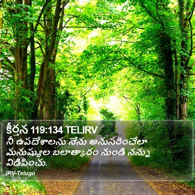 కీర్తన 119:134 TELIRV Bible Verse Image