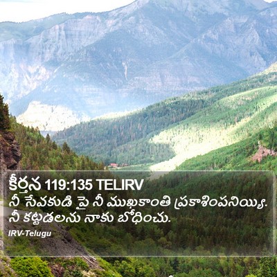 కీర్తన 119:135 TELIRV Bible Verse Image