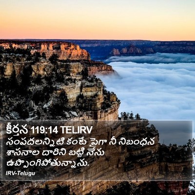 కీర్తన 119:14 TELIRV Bible Verse Image