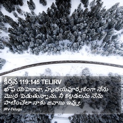 కీర్తన 119:145 TELIRV Bible Verse Image