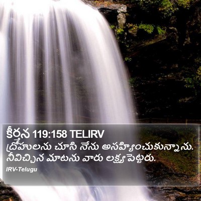 కీర్తన 119:158 TELIRV Bible Verse Image