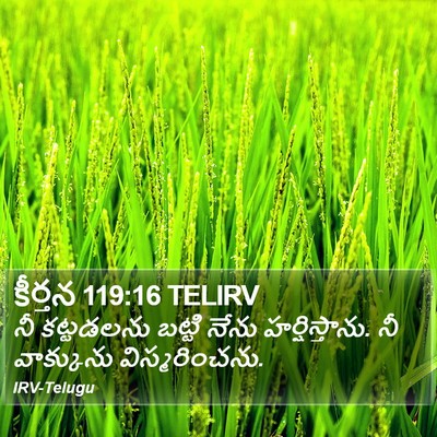 కీర్తన 119:16 TELIRV Bible Verse Image
