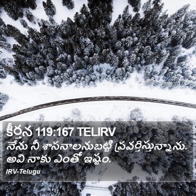 కీర్తన 119:167 TELIRV Bible Verse Image