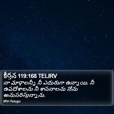 కీర్తన 119:168 TELIRV Bible Verse Image