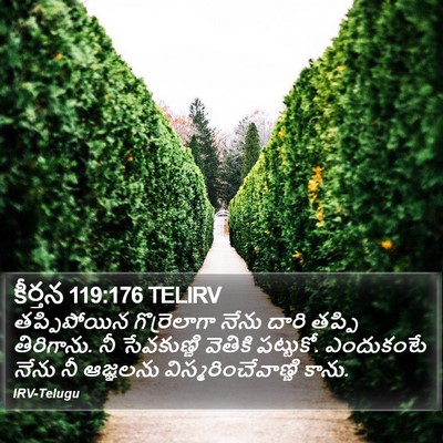 కీర్తన 119:176 TELIRV Bible Verse Image