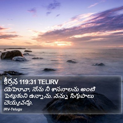 కీర్తన 119:31 TELIRV Bible Verse Image