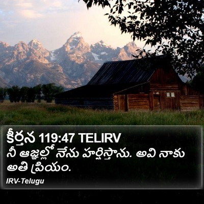 కీర్తన 119:47 TELIRV Bible Verse Image