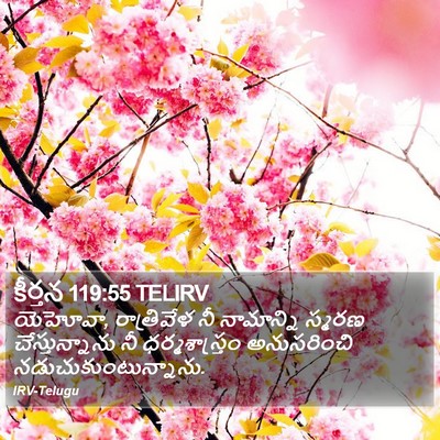 కీర్తన 119:55 TELIRV Bible Verse Image