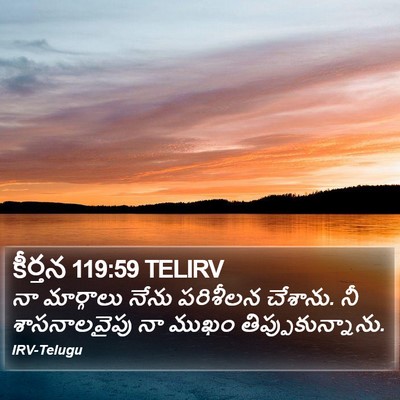 కీర్తన 119:59 TELIRV Bible Verse Image