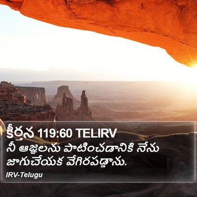 కీర్తన 119:60 TELIRV Bible Verse Image