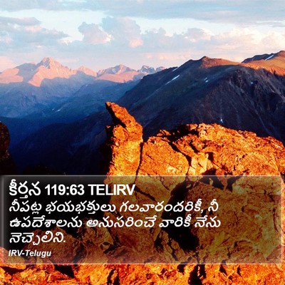 కీర్తన 119:63 TELIRV Bible Verse Image