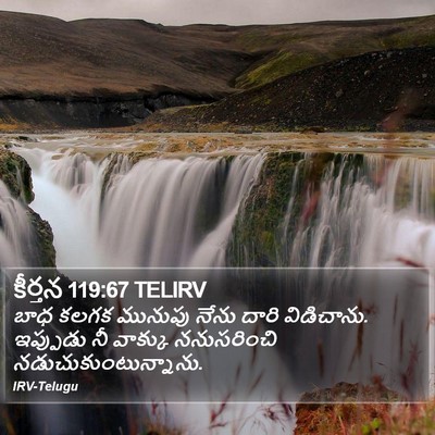 కీర్తన 119:67 TELIRV Bible Verse Image