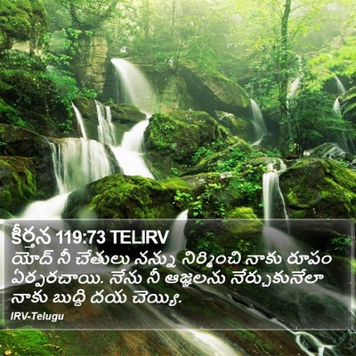 కీర్తన 119:73 TELIRV Bible Verse Image
