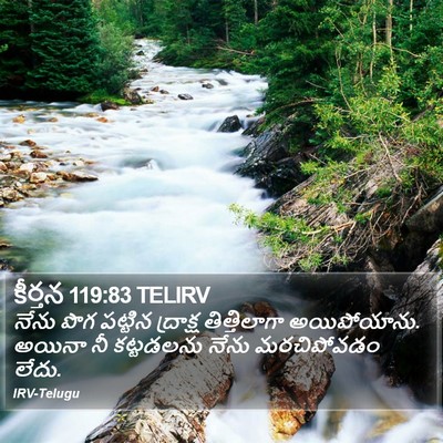 కీర్తన 119:83 TELIRV Bible Verse Image