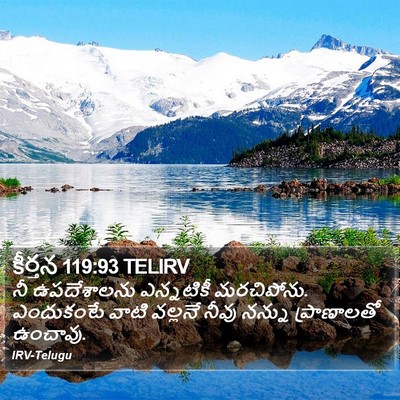 కీర్తన 119:93 TELIRV Bible Verse Image
