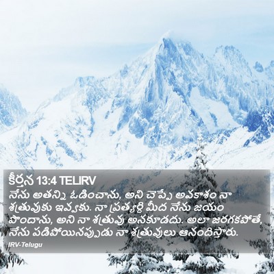 కీర్తన 13:4 TELIRV Bible Verse Image
