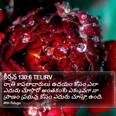 కీర్తన 130:6 TELIRV Bible Verse Image