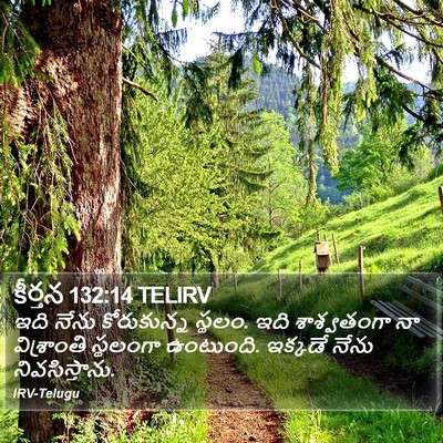 కీర్తన 132:14 TELIRV Bible Verse Image