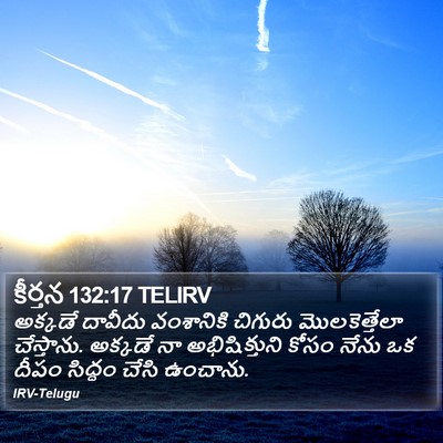 కీర్తన 132:17 TELIRV Bible Verse Image