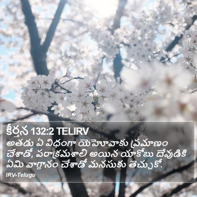 కీర్తన 132:2 TELIRV Bible Verse Image