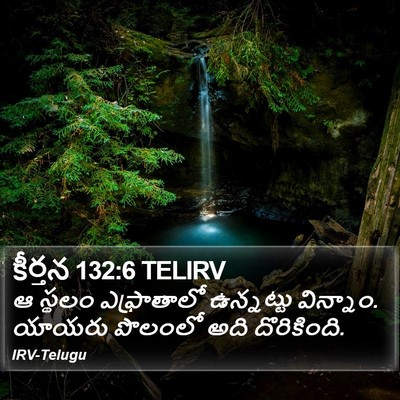 కీర్తన 132:6 TELIRV Bible Verse Image