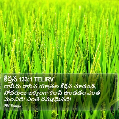 కీర్తన 133:1 TELIRV Bible Verse Image