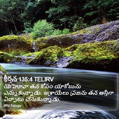కీర్తన 135:4 TELIRV Bible Verse Image
