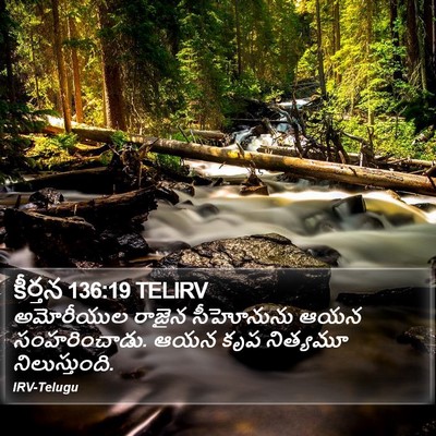 కీర్తన 136:19 TELIRV Bible Verse Image