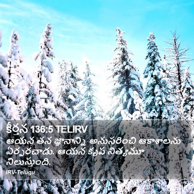 కీర్తన 136:5 TELIRV Bible Verse Image