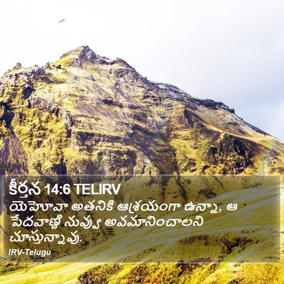 కీర్తన 14:6 TELIRV Bible Verse Image