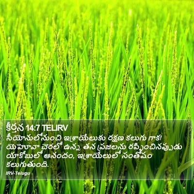 కీర్తన 14:7 TELIRV Bible Verse Image