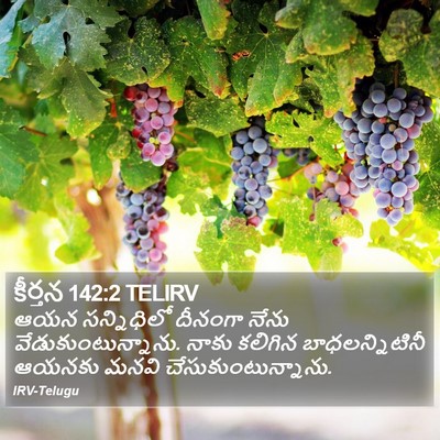 కీర్తన 142:2 TELIRV Bible Verse Image