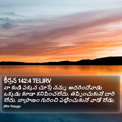 కీర్తన 142:4 TELIRV Bible Verse Image