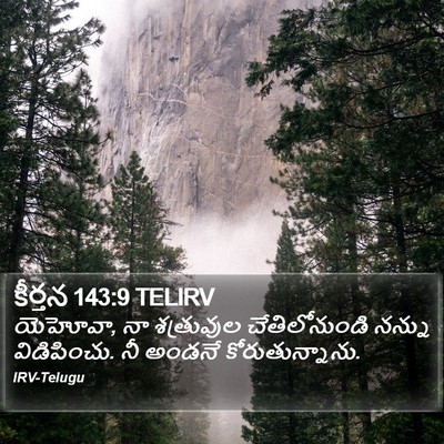 కీర్తన 143:9 TELIRV Bible Verse Image