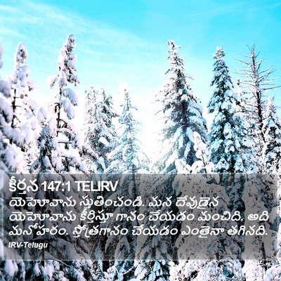 కీర్తన 147:1 TELIRV Bible Verse Image